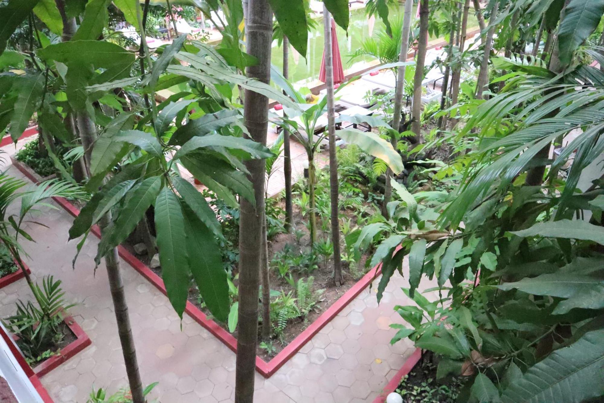 סיאם ריפ La Niche D'Angkor Boutique Hotel מראה חיצוני תמונה